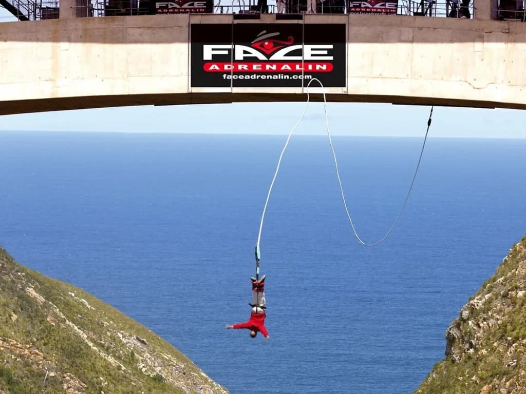 Bloukrans Bungy, Tsitsikamma